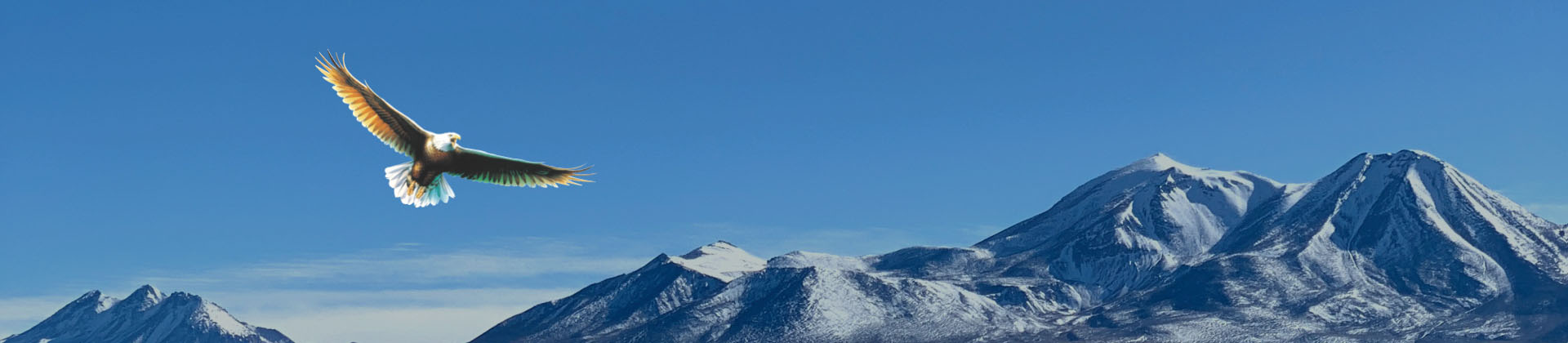 生產(chǎn)基地